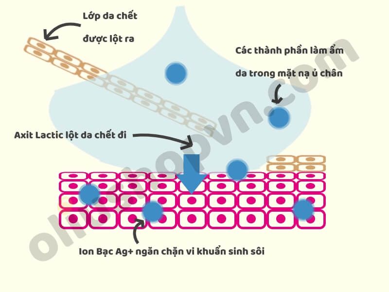 Cơ chế hoạt động của mặt nạ ủ chân lột da chết