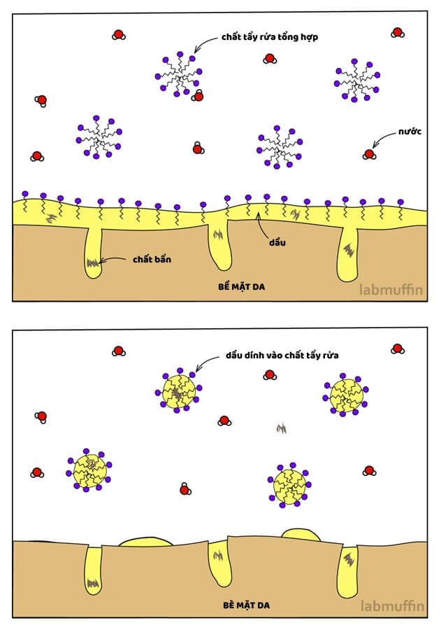 Cách sửa rửa mặt không có than hoạt tính làm sạch da